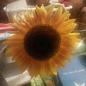 Helen Standefer's photo