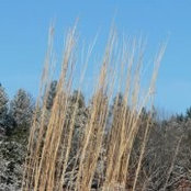 Foto von Mary Evans