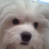 Sharla Davis's photo