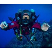 Adam Weisblatt's photo