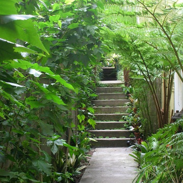 Hayes Garden