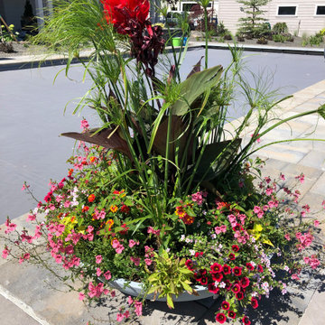 Annual Flower Pots for ALL seasons