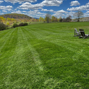 Professional Lawn Care & Mulch Installation