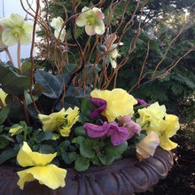 Porch Urns