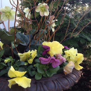 Container Gardens