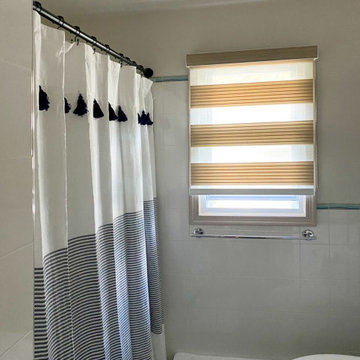 Springblinds Zebra Premium Pleated Light Filtering Shades House Project