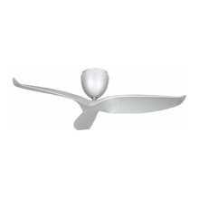 ceiling fans
