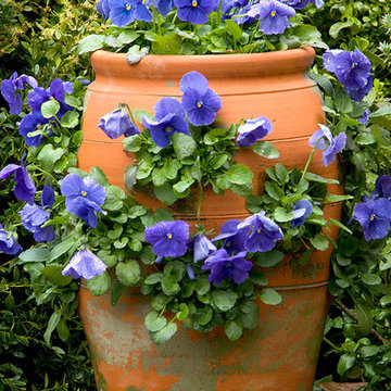 Strawberry Pot with Pansies
