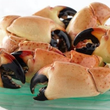 Florida Stone Crab Claws - shopandersonseafoods.com