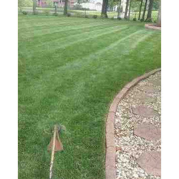 Alberto Alavez Professional Lawn Services LLC 5