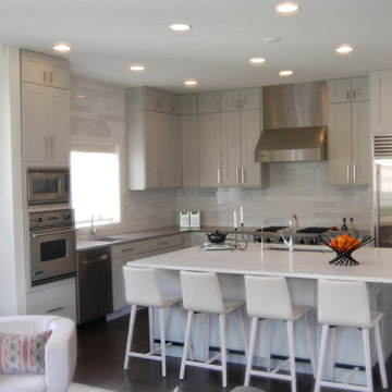 Lincoln Park Living Room, Kitchen + Powder Room