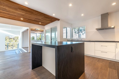 Kitchen - modern kitchen idea in San Francisco
