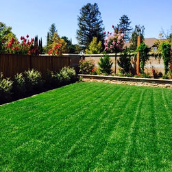 Sub Surface Irrigation - Watering And Irrigation Equipment