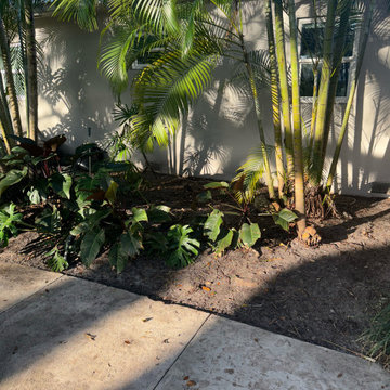 Miami Shores Landscape Design