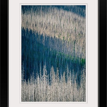 Prints