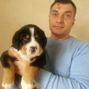 Igor Limans billede