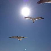 Foto von Sonia Abasolo