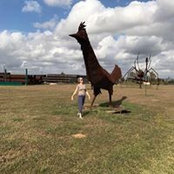 Annalisa Jamison's photo