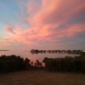 Foto von Heather Lyons