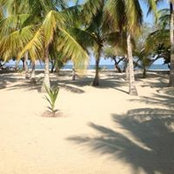 Foto von Sandra Morales