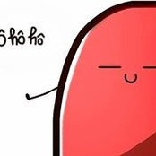 Vũ Phạmさんの写真