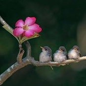 Sharon Coburn's photo