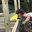 DECKS DECKS DECKS