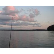 Sam Koob's photo