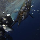 Mark Gray's photo