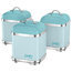 Stainless Steel Canisters, Peacock, Set of 3
