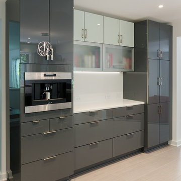Modern & Sleek Kitchen