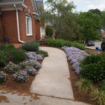 Spring color from creeping phlox "Emerald Blue"