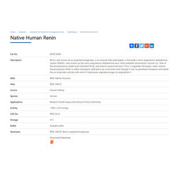 native human renin enzyme - Products