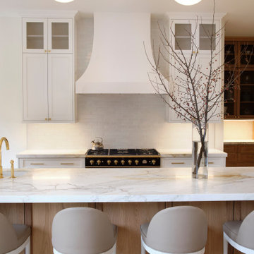 Modern Minimalist Kitchen