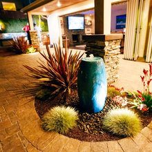 Drought Tolerant Gardens