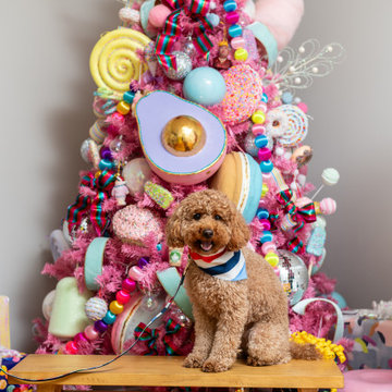Holiday Decor - Colorland At The Jodie