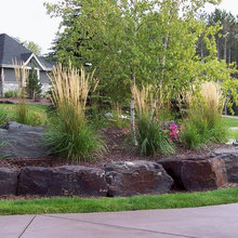 Landscape Ideas