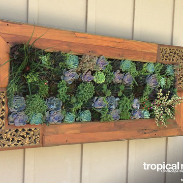 Kahala Vertical Succulent Garden