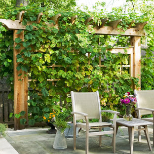 シカゴのトラディショナルスタイルのおしゃれな裏庭のテラス (天然石敷き、壁面緑化) の写真