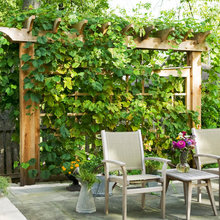 privacy garden