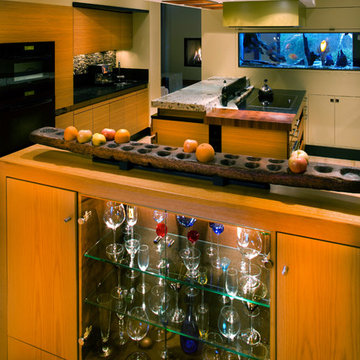 glass cabinet and fish tank as space divider