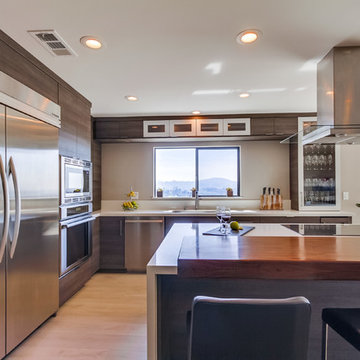 La Mesa_Modern Kitchen_Whole Home Remodel