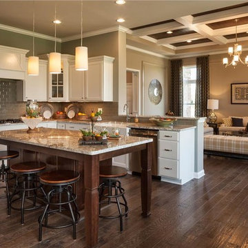 M/I Homes of Cincinnati: Roberts Park - Walden Classic Model
