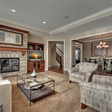 Living Room Ideas
