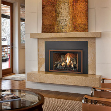 430 Gas Fireplace Insert