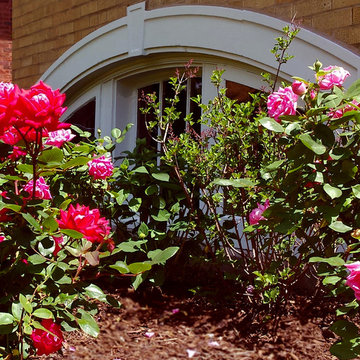 Plantings