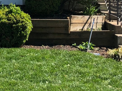 Garden bed retaining walls - loose them, keep them or...