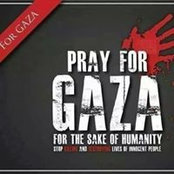 Bazeghah Sayyed's photo