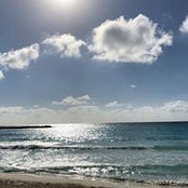 Patti Williamson's photo