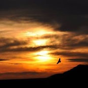 Diego Gaitán's photo